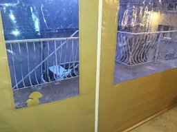 20211022 bâche joue (DSC_0136)