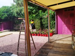 20220630 Bâche joue du 30/06/2022 (IMG_095722)