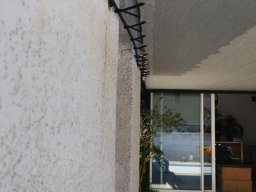 20230616 Pergola en toile (IMG_145928)