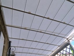 20240724 Pergola en toile (IMG_122704)